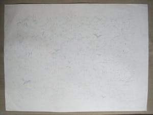 Josephine Sloet - Zeefdruk kopen? Bied vanaf 30!