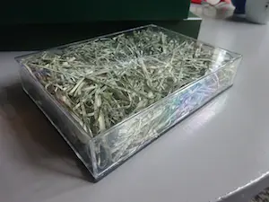 Jan Henderikse - Shredded value- gelimiteerde en gesigneerde oplage 1989 kopen? Bied vanaf 275!