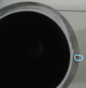 Carina Riezebos - Lushecup kopen? Bied vanaf 10!