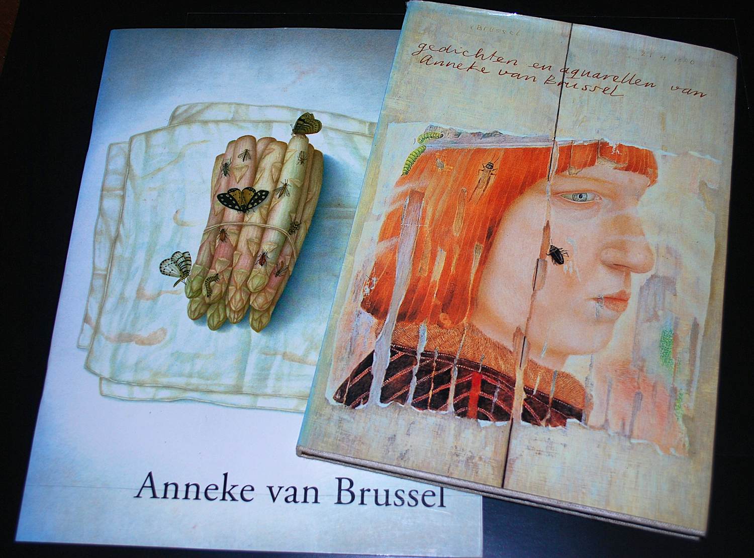 Anneke van Brussel - hardcover, gesigneerd en genummerd & extra kopen? Bied vanaf 50!