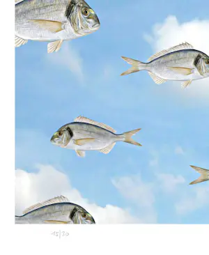 Mr. Strange - Tegen een stroom in kopen? Bied vanaf 80!