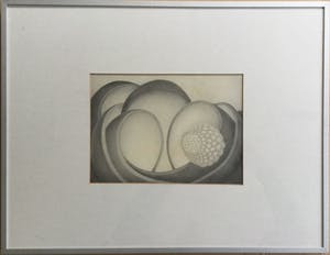 Sjaak Mous - Mysterie van de bevruchting | unieke potloodtekening (1974) - ingelijst kopen? Bied vanaf 17!