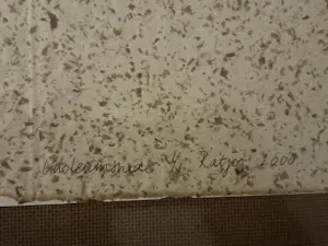 Carolein Smit - Rattenkoning kopen? Bied vanaf 100!