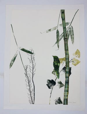 Marjan Jaspers - Bamboe bird kopen? Bied vanaf 120!