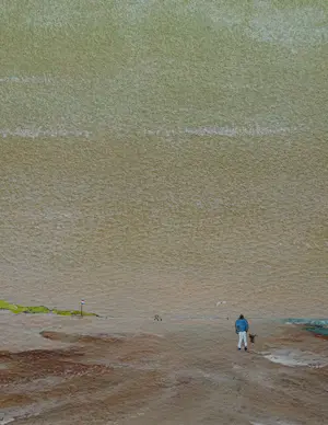 Franklin Meijer - Strand - Noord-Holland - Man met hond kopen? Bied vanaf 49!