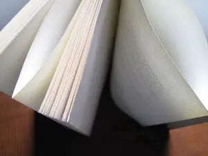 Niet of onleesbaar gesigneerd - Bibliofilie; Chi Pai Shih - Bambuhalm und Pfirsichblute - 1959 kopen? Bied vanaf 1!