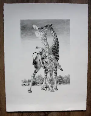 Peter Vos - Litho: gevoel kopen? Bied vanaf 150!