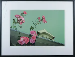 AcheterMark Verdoes - Giclee, VogelThuis - Ingelijst? Enchérissez de 1!