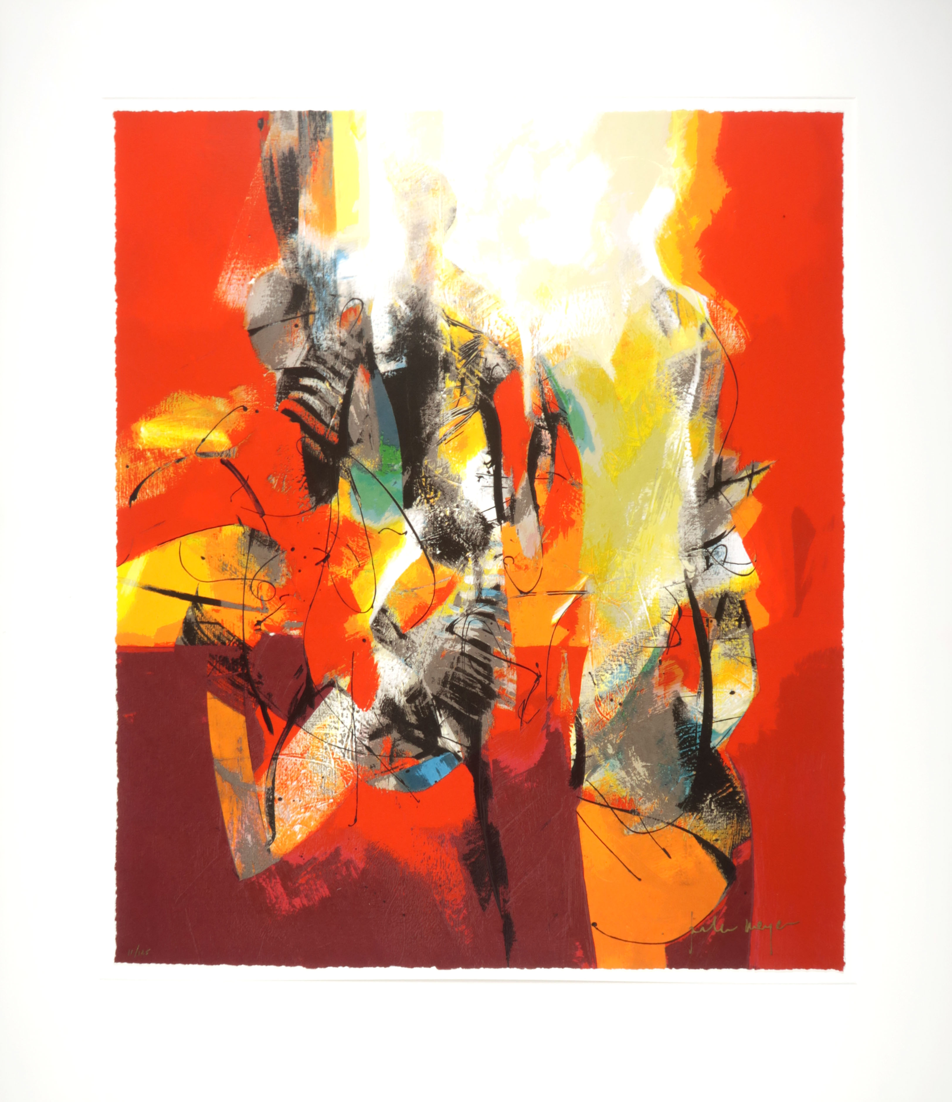 Peter Meijer - Zeefdruk, Wij waren met 3 (Groot) kopen? Bied vanaf 40!