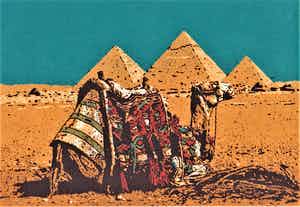 Simon Koene - Zittende kameel bij de piramide van Gizeh (Egypte) verkocht voor € 30!