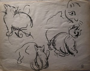 Gerard Hordijk - studie van katten kopen? Bied vanaf 1!