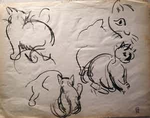 Gerard Hordijk - studie van katten verkocht voor € 1!