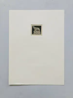 Ina Rahusen - Kakatoe kopen? Bied vanaf 45!