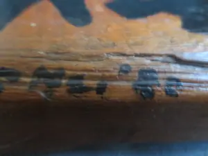 Herman Stammeshaus - Compositie1982 kopen? Bied vanaf 100!