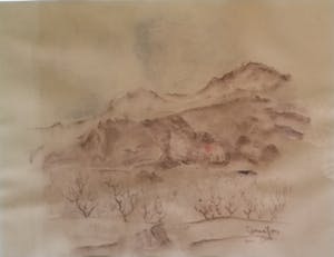 Germ de Jong - Duinen bij Hargen kopen? Bied vanaf 80!