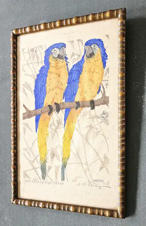 Martin Erich Philipp - "Twee blauwvleugelara's", kopen? Bied vanaf 285!