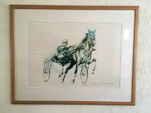 Michel Poort - trotting car verkocht voor € 40!
