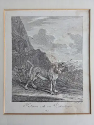 Johann Elias Ridinger - Vier gravures. Jachthonden. Ingelijst. kopen? Bied vanaf 160!