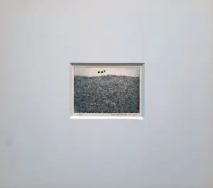 Eelco Glastra van Loon - Zonder - Titel 2/25 - ets - 1975 - ingelijst - 25644 kopen? Bied vanaf 65!