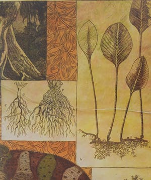 Annemarie Petri - Interieur van een rizoloog kopen? Bied vanaf 20!