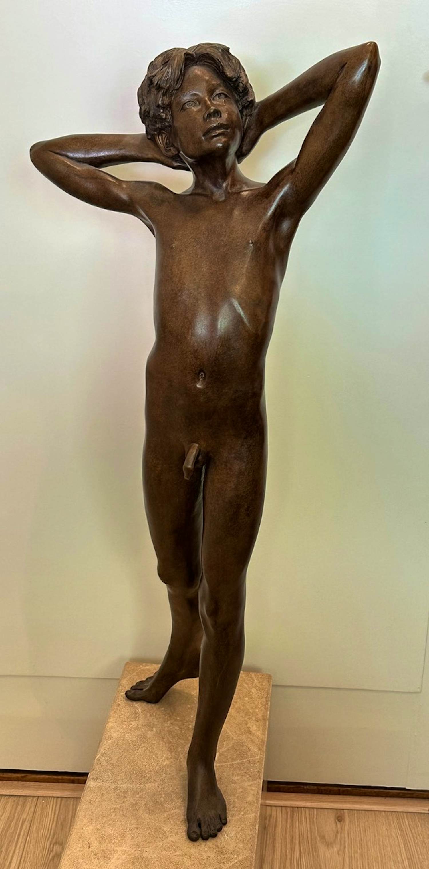 Wim van der Kant - Lucifer Evigilans kopen? Bied vanaf 2200!