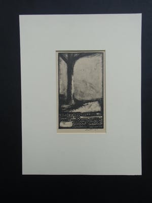 Aart van Dobbenburgh - TENTOONSTELLING ZANDVOORT // LITHO VAN AART VAN DOBBENBURGH kopen? Bied vanaf 30!
