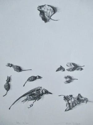 Niet of onleesbaar gesigneerd - Litho kopen? Bied vanaf 1!