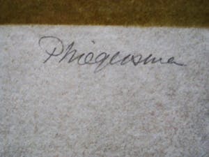 Pieter Wiegersma - glazenier, schilder, tapijtkunstenaar en schrijver - Abstract Litho - gesigneerd kopen? Bied vanaf 10!