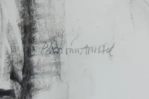 Jaap Ploos van Amstel - Houtskool op papier, Drie neushoornvogels - Ingelijst kopen? Bied vanaf 100!