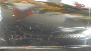 Daum Nancy - Kristallen schaaltje vorm Duif kopen? Bied vanaf 29!