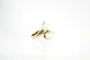 89 - Aparte geel-gouden 18 krt ring met 2 vissen - gekeurd - kleine maat! kopen? Bied vanaf 310!