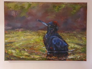 Mieke Robben - Vogel kopen? Bied vanaf 100!