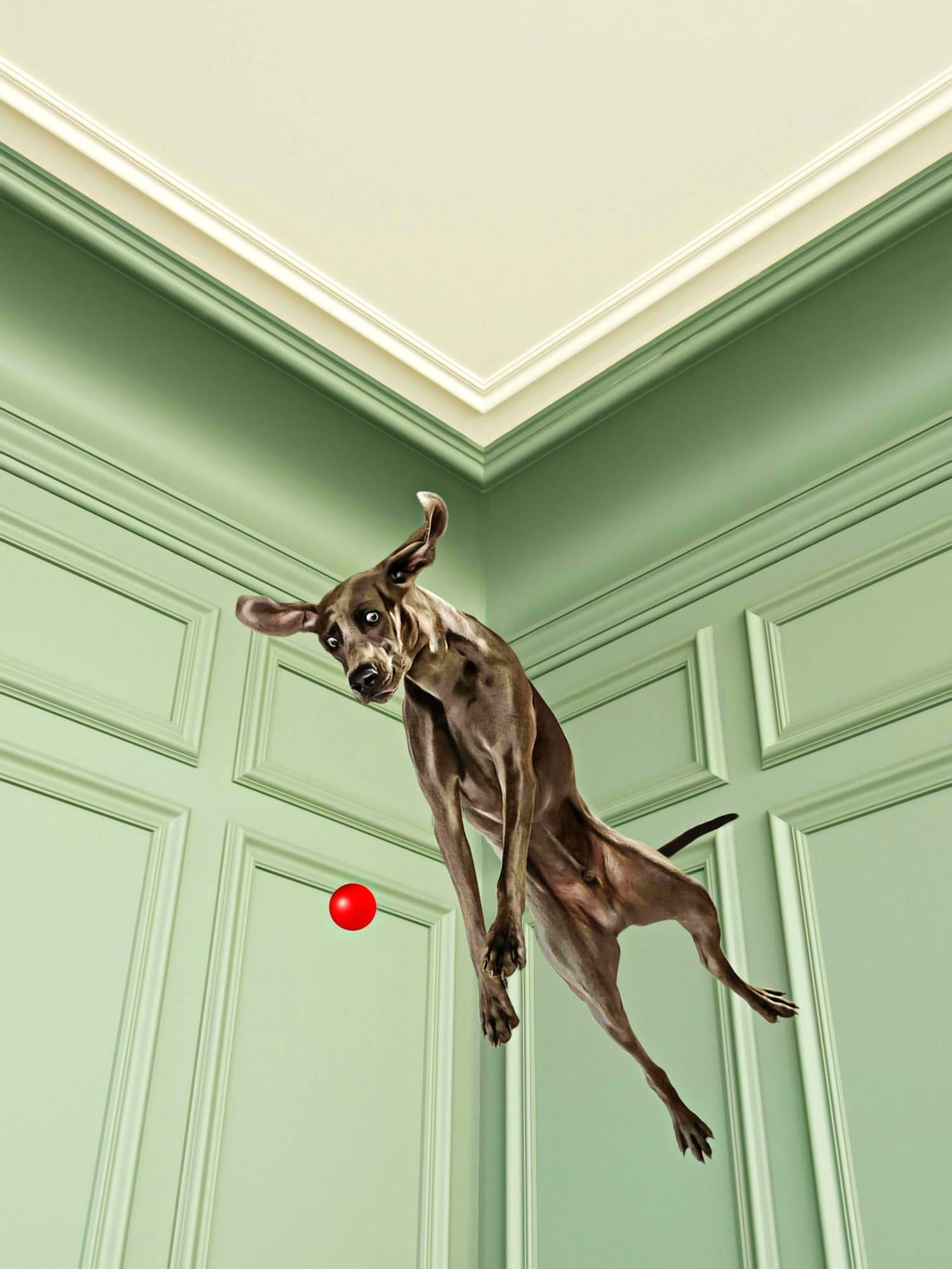 Mr. Strange - Charly Jump! verkocht voor € 85!