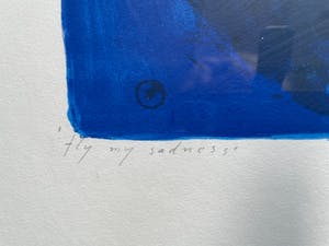 Piet Warffemius - Fly my sadness kopen? Bied vanaf 35!