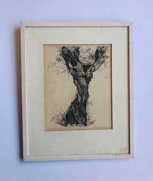 Piet Landkroon - wilg - burijngravure met lijst kopen? Bied vanaf 45!