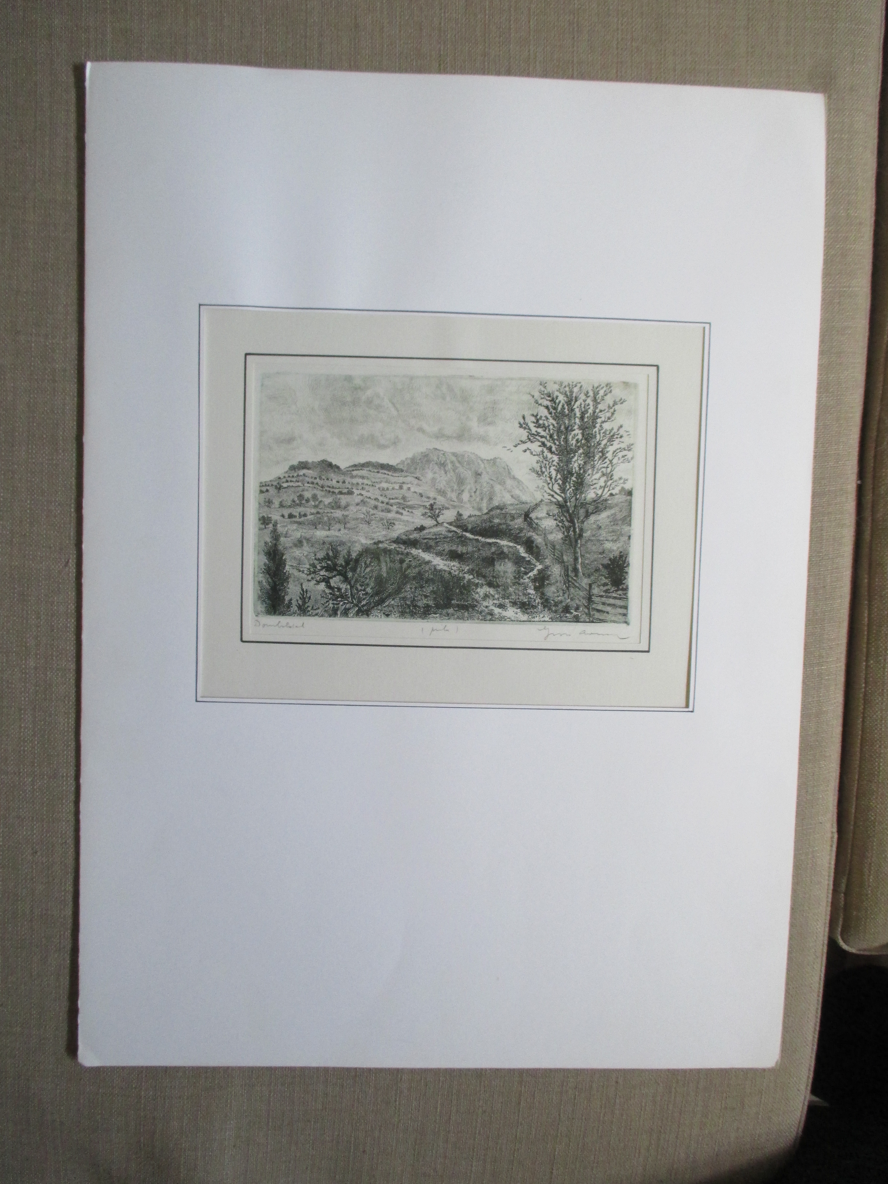 Arnold Gross - Ets landschap kopen? Bied vanaf 40!