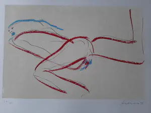 Peter Diem - Kleurenzeefdruk ABSTRAKT NAAKT kopen? Bied vanaf 40!