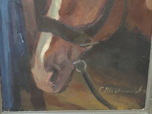 Niet of onleesbaar gesigneerd - Olieverf op doek , “Portret Paard” – gesigneerd & ingelijst kopen? Bied vanaf 10!