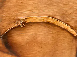 Emilio Kruithof - Olieverf op doek: My Love My Hate - 2002 kopen? Bied vanaf 1750!