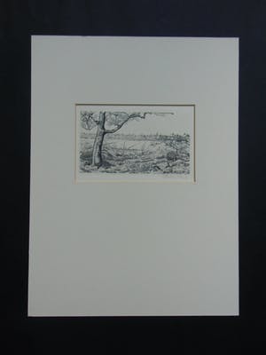 Engelien Reitsma-Valenca - GEZICHT OP ELSPEET kopen? Bied vanaf 25!