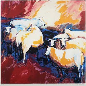 Gerda Elfring - Zeefdruk, Schapen - Ingelijst kopen? Bied vanaf 35!