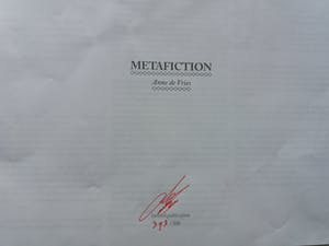 Anne de Vries - Metafiction. 8 foto's in doos. kopen? Bied vanaf 25!