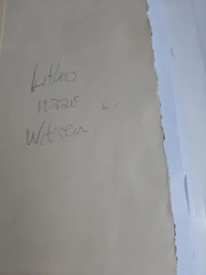 Debora Duyvis - Litho, naar W Witsen kopen? Bied vanaf 20!
