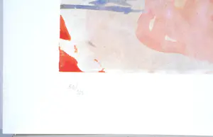 Joseph Beuys - Was birgt die Wolke? - Offset - Signatuurstempel - N° 50/300 - 1979 kopen? Bied vanaf 250!