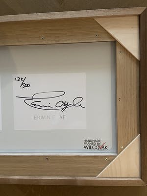 Erwin Olaf - Hidden Curiosity kopen? Bied vanaf 999!