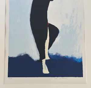 Jan Peter van Opheusden - danser kopen? Bied vanaf 50!