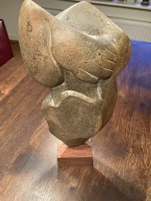 Hank Beelenkamp - Het orakel kopen? Bied vanaf 300!