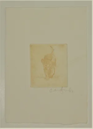 Anna Jeretic - 'Dieren' kopen? Bied vanaf 65!