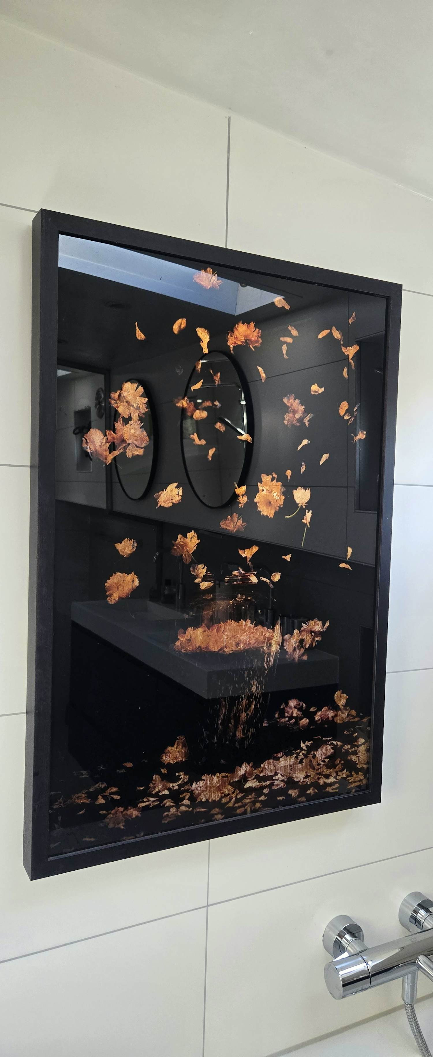 Titus Brein - Flowerbomb XVI kaufen? Bieten Sie von 2450!