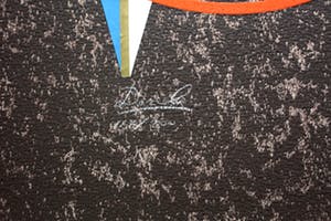 Cesar Domela - zeefdruk/collega kopen? Bied vanaf 75!